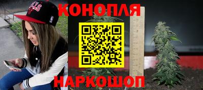 дживик Будённовск