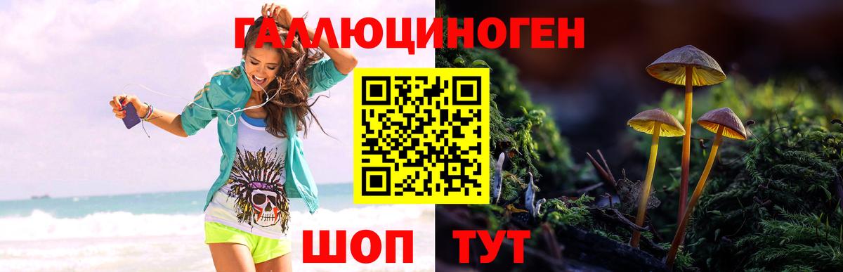 Галлюциногенные грибы Magic Shrooms  Вход с VPN  Протвино 